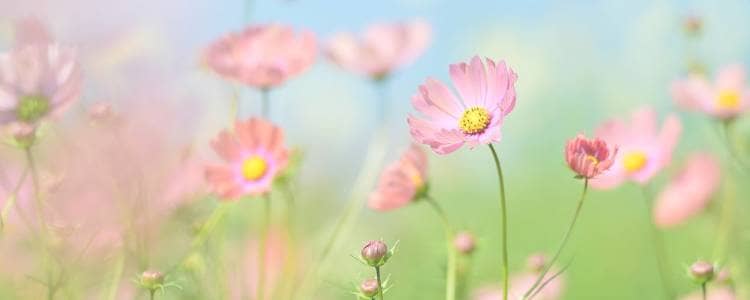 誰かに相談して、人生を変えていきたい