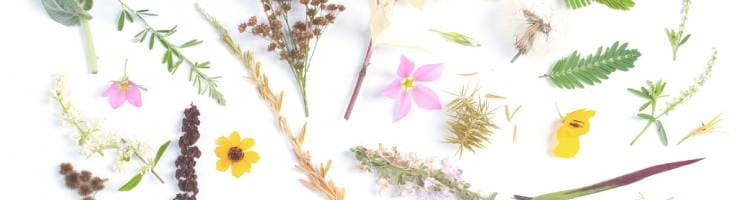 人生について電話相談をしたお客様の声・口コミ