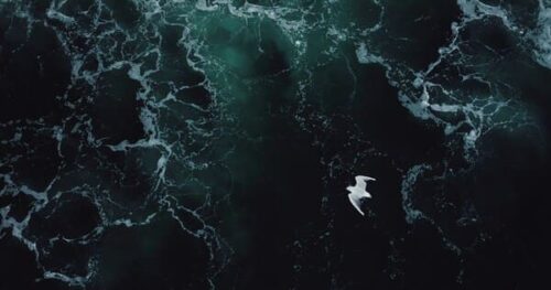 離婚の決め手はある？決断する前に