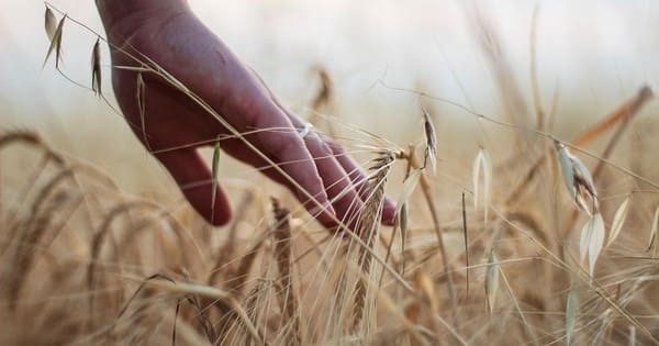 浮気相手と別れない夫の心理